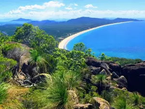 Hinchinbrook Lookout