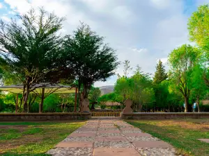 Potosí - Los Pinos