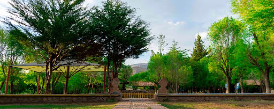 Potosí - Los Pinos