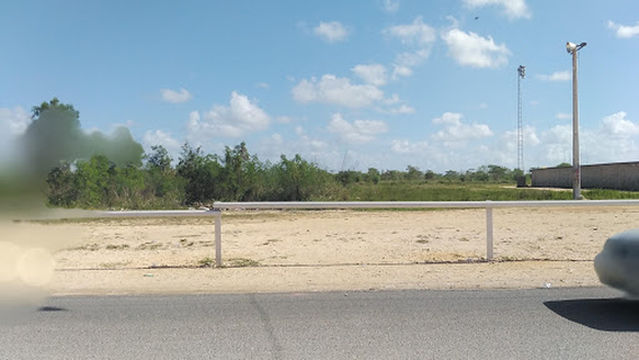 Play De Baseball De Pica Piedra