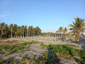 Bocana El Pimental