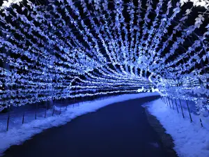 Tokachigaoka Park