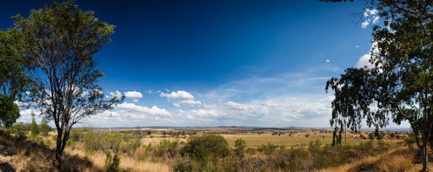 Nancy Coulton Lookout