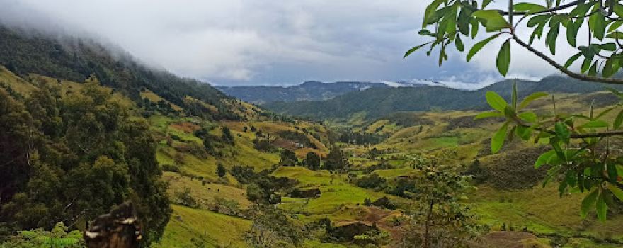 Vereda Agoyan
