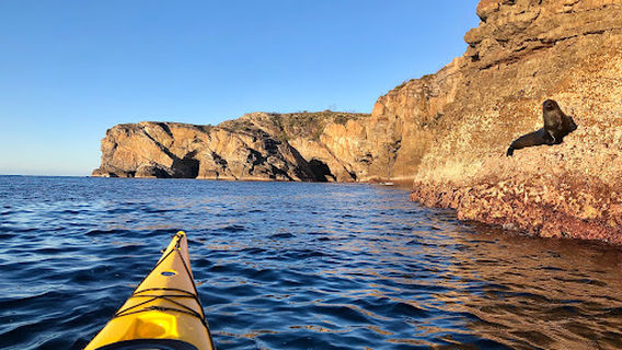 Sea Kayak Jervis Bay
