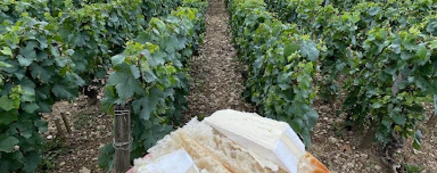 Domaine Mazilly Pere & Fils