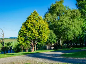 Dorrigo Mountain Holiday Park