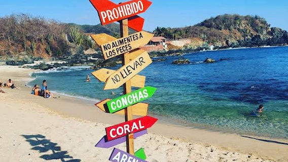TOUR A LA ISLA DE IXTAPA 10:00 y 11:00 am
