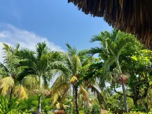 Playa El Flor
