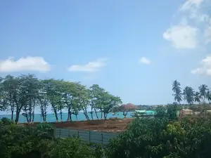 Praia Lagarto