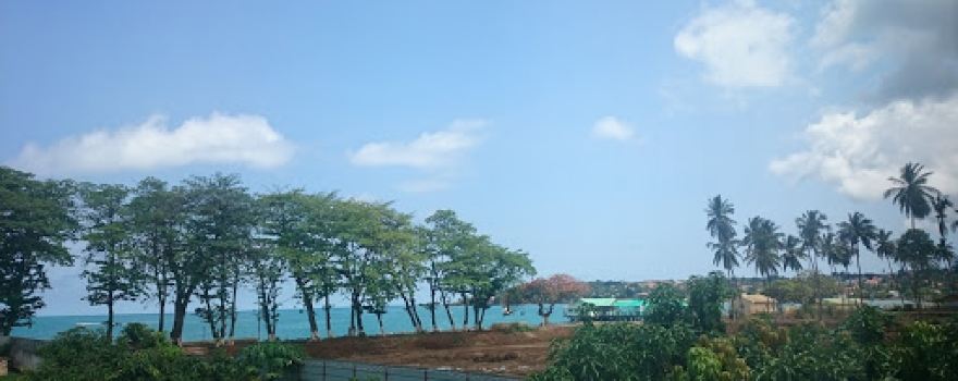 Praia Lagarto