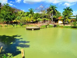 Uirapuru Clube
