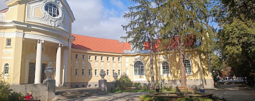 Mineral Spring