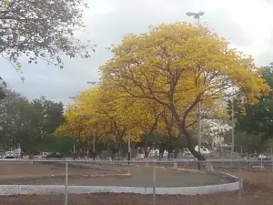 Parque Las Ballenas