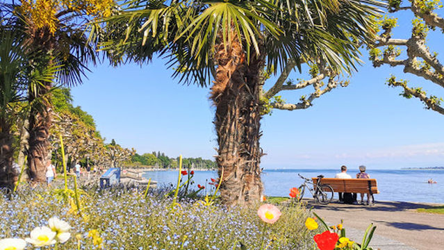 Seestraße/ Konstanzer Trichter Bodensee