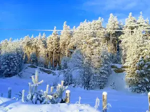 Верхне кондинский государственный природный заказник