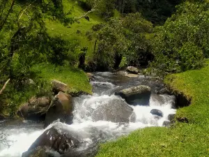 Cascada el Wilque