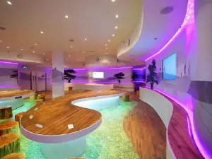 The Israel Childrens Museum