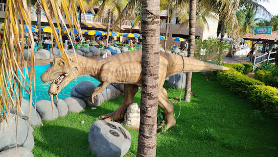 Zoo Casa das Araras - Parque de aves