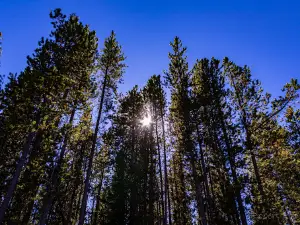 Chinook Provincial Recreation Area