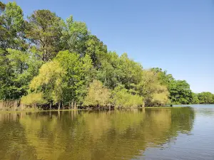Weiss Lake