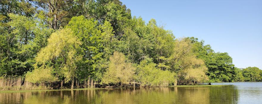 Weiss Lake