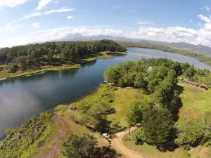 Laguna El Pino