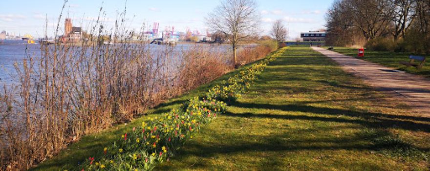 Rüsch Park