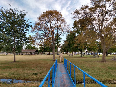 Reaves Park
