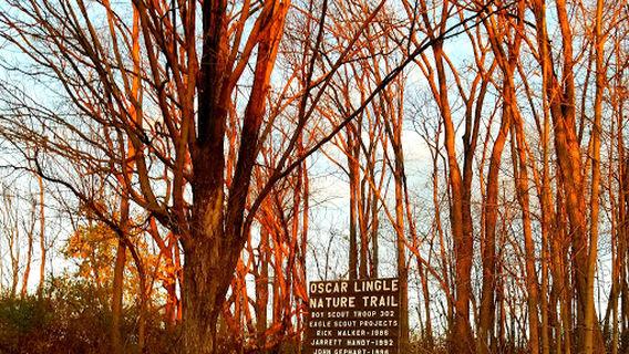 Lingle Park