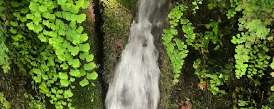 Llavador de Tales