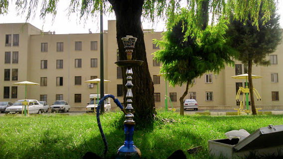 Parks and green spaces educators