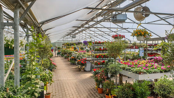 Hephata Garden Shop