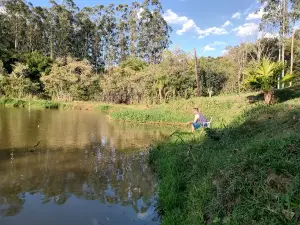 Fish and Pay From Potato
