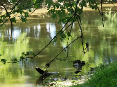 Stepping Stones Park