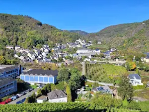Cochem Camping