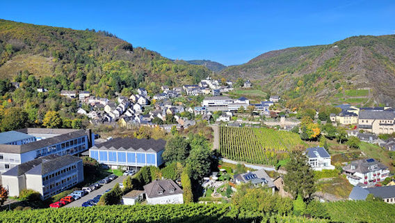 Cochem Camping