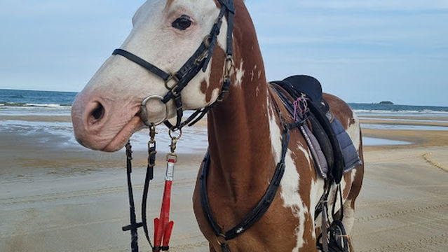 Penn Endurance & Equestrian Club a.k.a Pahang International Endurance Park