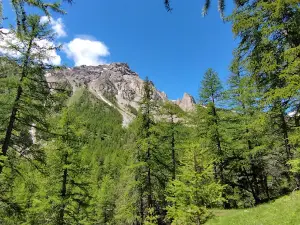 Lac vert