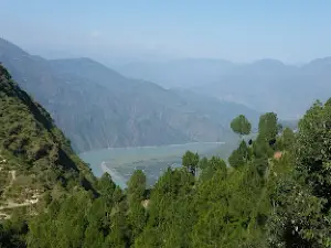 Buner Timber Wood
