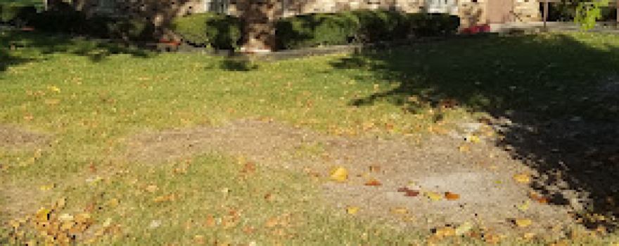 Riverdale Park District