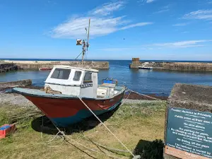 Craster Harbour