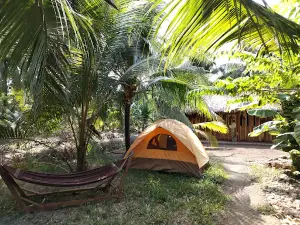 Ecoco Home
