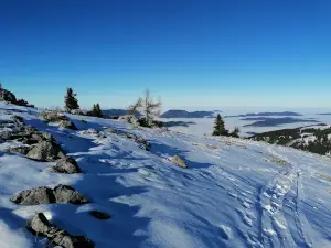 Hochkar & Ötscher Tourismus GmbH