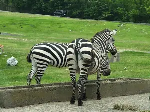 サファリランドふれあい広場