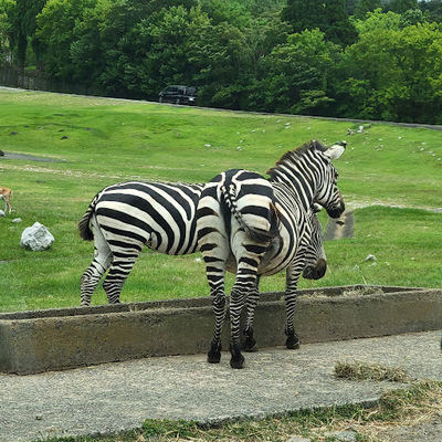 Animal Contact Plaza