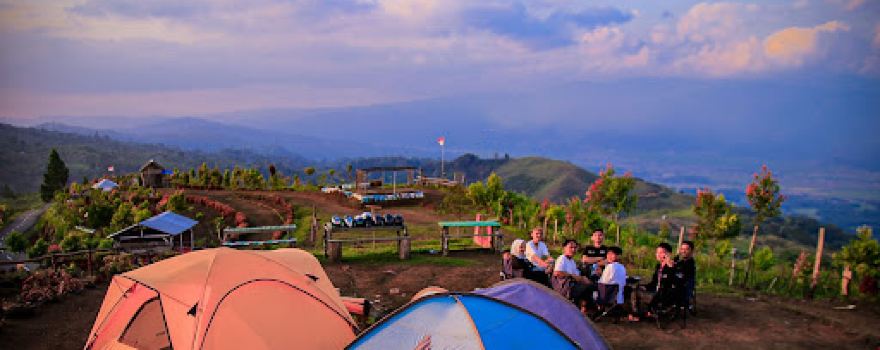 Strawberry Kerinci