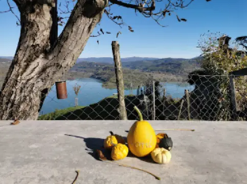 Viewpoint Ukotići