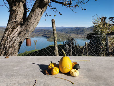 Ukotići viewpoint