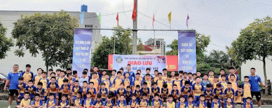 Sân cỏ nhân tạo khu 8